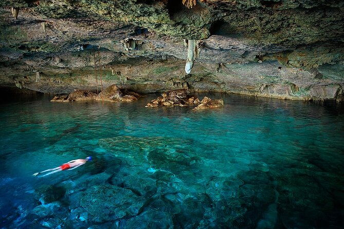 dolphin-sea-cave-captain-cook-kealakekua-bay-reef-snorkeling