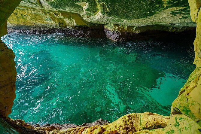 dolphin-sea-cave-captain-cook-kealakekua-bay-reef-snorkeling