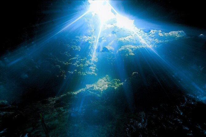 dolphin-sea-cave-captain-cook-kealakekua-bay-reef-snorkeling
