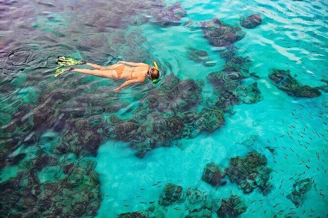 Dolphin, Sea Cave & Captain Cook Snorkel Combo in Kealakekua Bay - Who Should Book This Tour?