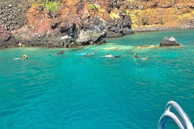 Dolphin, Sea Cave & Captain Cook Snorkel Combo in Kealakekua Bay - Frequently Asked Questions