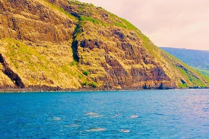Dolphin, Sea Cave & Captain Cook Snorkel Combo in Kealakekua Bay - Final Thoughts