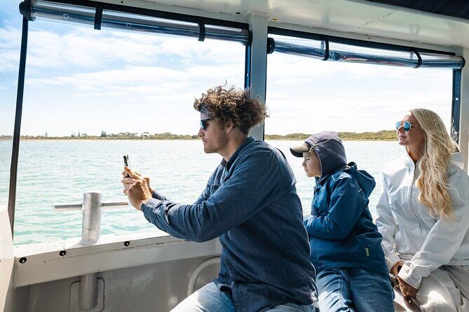 Dolphin, Sea Lion and Penguin Island Cruise - The Itinerary in Detail