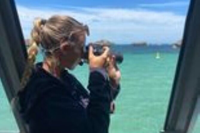 Dolphin, Sea Lion and Penguin Island Cruise - Authentic Insights from Reviewers