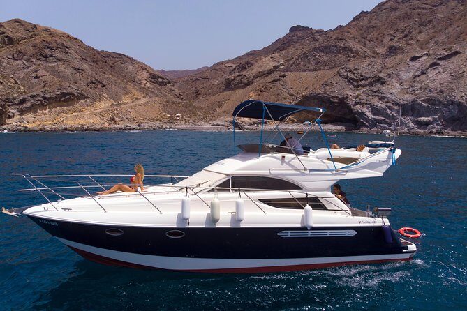 Dolphin Searching Tour in Puerto de Mogán ("KEEPER UNO" Boat) - An Overview of the Dolphin Search Experience