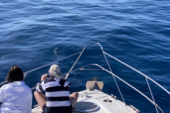 Dolphin Searching Tour in Puerto de Mogán ("KEEPER UNO" Boat) - What Reviewers Are Saying: Authentic Insights