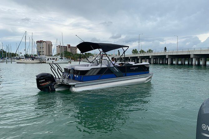 Dolphin Shelling Snorkeling Cruise in Tampa - Why This Tour Offers Great Value