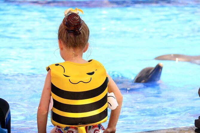 Dolphin Show & Photoshoot Package with Transfer from Hurghada - Exploring the Dolphin Show & Photoshoot Package with Transfer from Hurghada