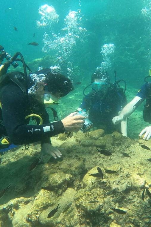 dolphin-show-tour-with-transfer-from-alanya-side