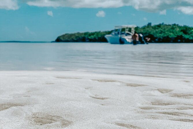 dolphin-snorkel-sandbar