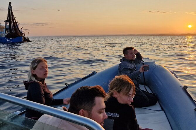 dolphin-sunrise-adventure-with-speedboat
