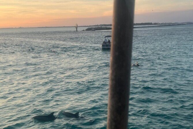 Dolphin & Sunset Cruises - Exploring the Destin Dolphin & Sunset Cruise Experience