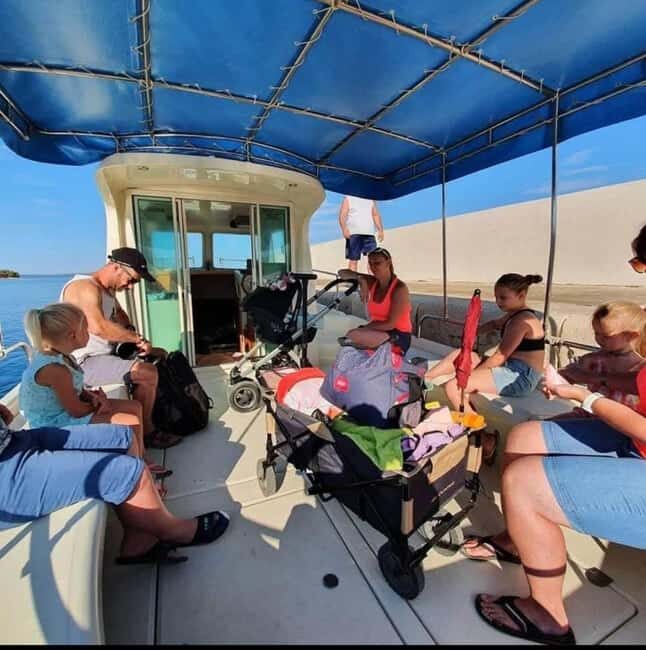 Dolphin tour 2 hours - Exploring the Croatian Dolphin Tour: What to Expect