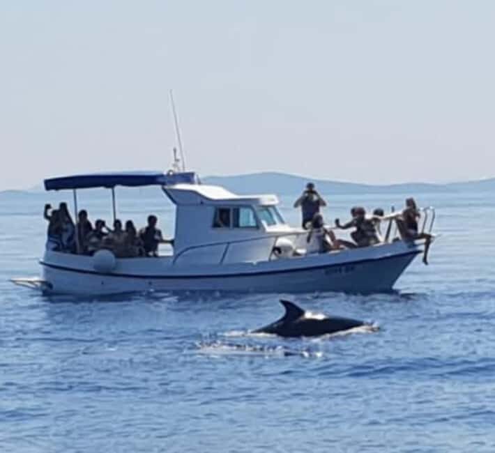 Dolphin tour 2 hours - Practical Tips for Your Dolphin Tour