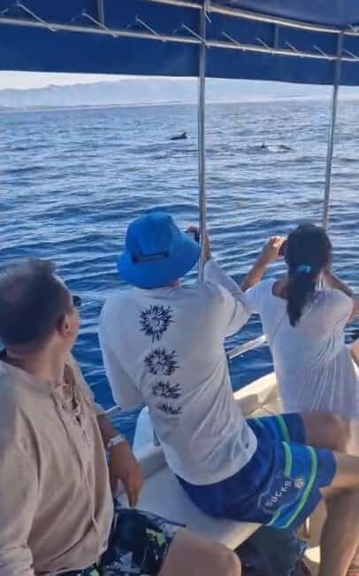 Dolphin tour 2 hours - Who Is This Tour Best For?