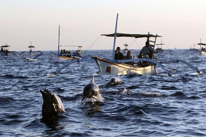 Dolphin Tour and Sunrise Watching in Lovina Beach - All Inclusive - An In-Depth Look at the Tour Experience