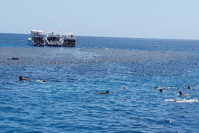 Dolphin Tour Banana Boat from Soma /Sahl Hasheesh/makadi/Safaga - FAQs