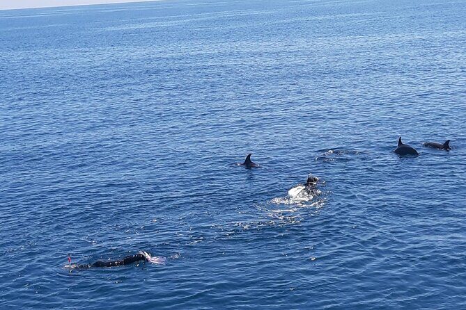 Dolphin tour & banana boat fun with snorkeling from Hurghada - Key Points