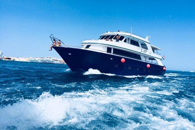 Dolphin Tour in Hurghada - What to Expect on This Hurghada Dolphin Tour