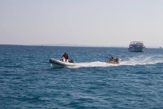 Dolphin Tour in Hurghada - Why This Tour Offers Great Value