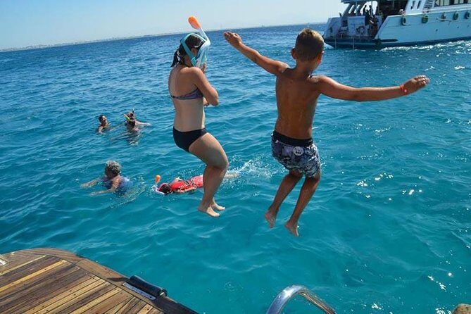 Dolphin Tour in Hurghada - Final Thoughts