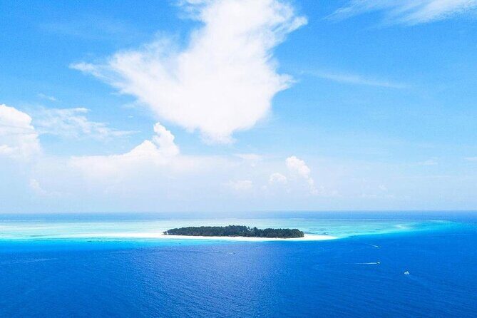 Dolphin Tour, Jozani Forest Tour, Kuza Cave Tour, Paje Beach,The Rock Restaurant - Exploring Zanzibar’s Natural and Cultural Gems in One Full Day