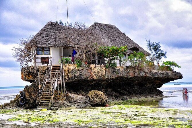 Dolphin Tour; Kuza Cave Tour; Paje Beach; The Rock Restaurant; Jozani Forest - The Itinerary in Detail: What to Expect