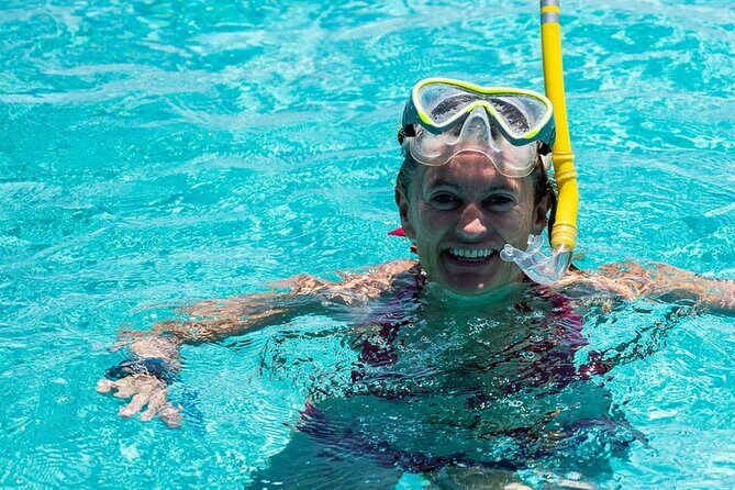 Dolphin Tour & Snorkeling at Mnemba Island - The Itinerary in Detail: What to Expect