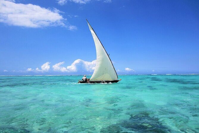Dolphin Tour & Snorkeling at Mnemba Island - FAQ