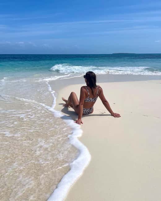 Dolphin tour + snorkeling at Pungume island and sandbak BBQ - The Itinerary: A Closer Look
