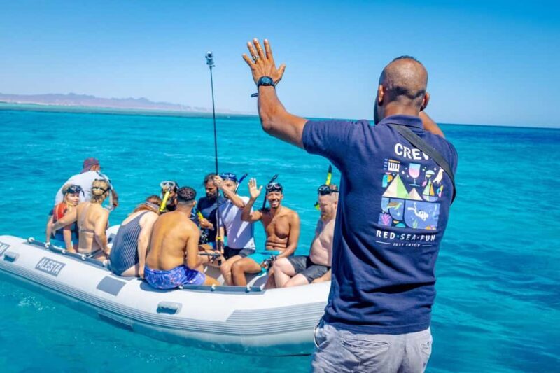 Dolphin Tour with Red Sea Fun. The Best in Hurghada - Key Points