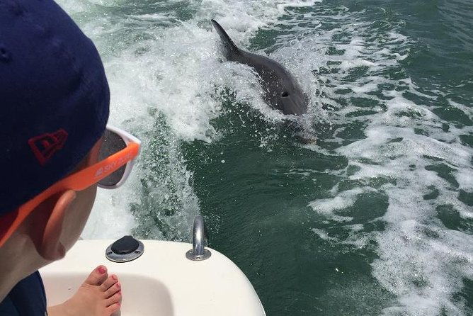 dolphin-tours-fort-myers-beach-naples