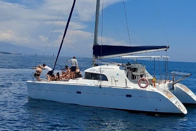 Dolphin trips on a catamaran - Dolphin Trips on a Catamaran: An Honest Review of the Estepona Experience