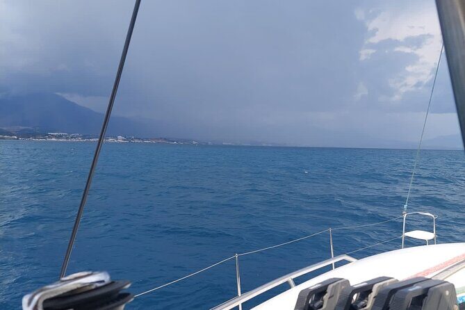 Dolphin trips on a catamaran - Who Will Love This Experience?