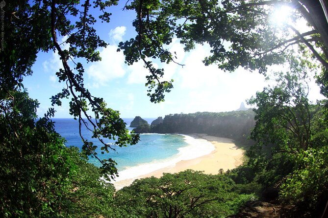 dolphin-viewpoint-trail