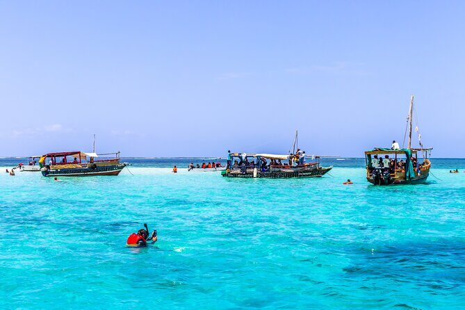 Dolphin Watch & Snorkeling at Kisite Marine Park & Wasini Island - Key Points