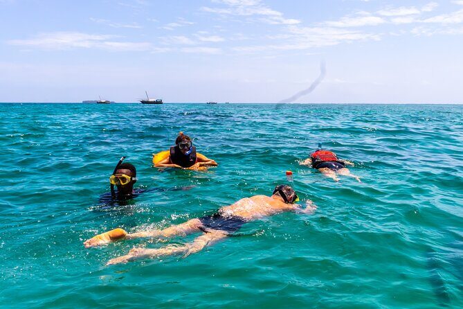 Dolphin Watch & Snorkeling at Kisite Marine Park & Wasini Island - Is the Price Worth It?