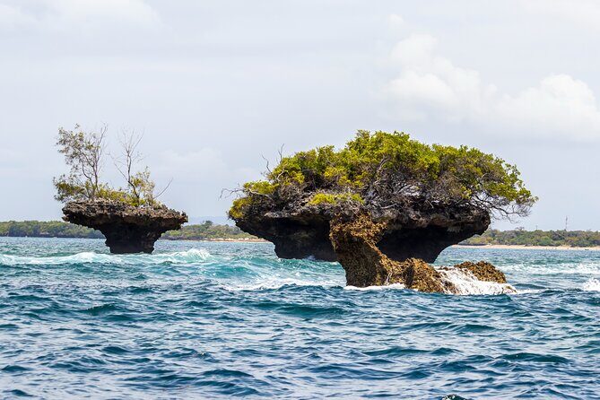 Dolphin Watch & Snorkeling at Kisite Marine Park & Wasini Island - Authentic Experiences and Challenges