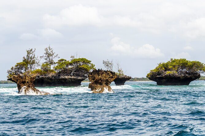 Dolphin Watch & Snorkeling at Kisite Marine Park & Wasini Island - Who Should Consider This Tour?