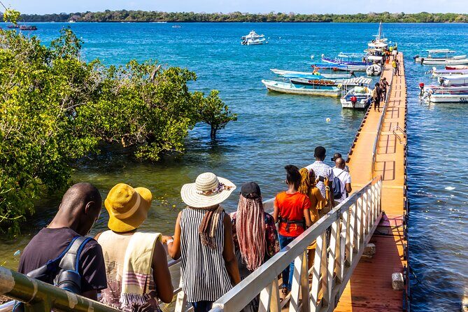 Dolphin Watch & Snorkeling at Kisite Marine Park & Wasini Island - Final Thoughts