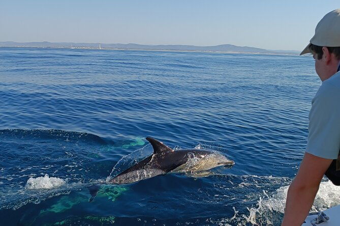 dolphin-watching-2-islands-tour-from-faro