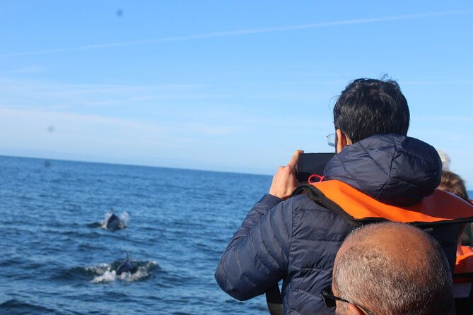 dolphin-watching-2-islands-tour-from-faro