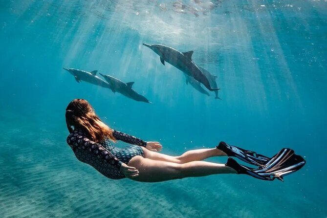 Dolphin watching 7 hours Boat Trip & Snorkelling from Hurghada - Exploring the 7-Hour Dolphin Watching & Snorkelling Boat Trip from Hurghada