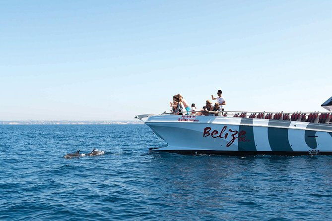 dolphin-watching-and-cave-boat-cruise-from-albufeira