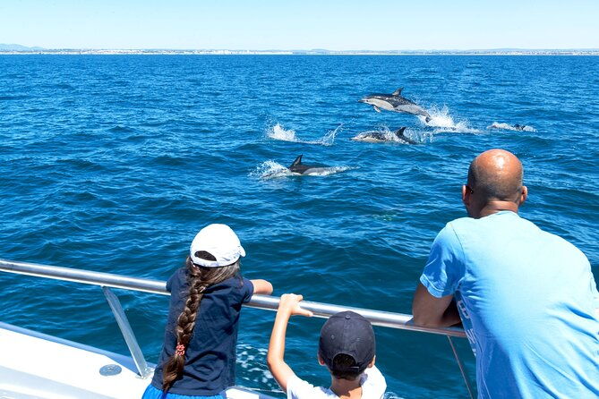 dolphin-watching-and-cave-boat-cruise-from-albufeira