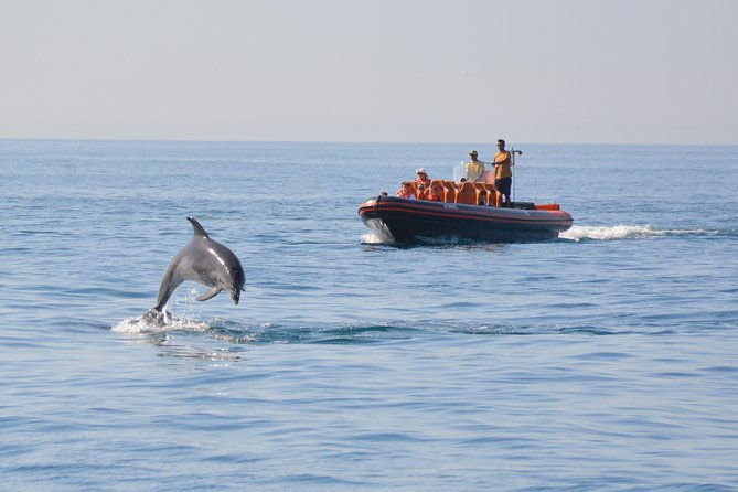 dolphin-watching-and-cave-tour-from-vilamoura