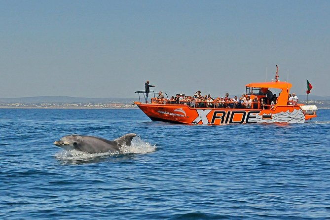 dolphin-watching-and-caves-cruise