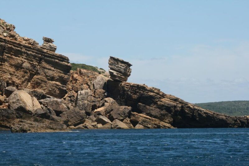dolphin-watching-and-local-caves