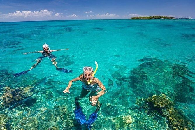Dolphin watching and Snorkeling at Mnemba Atoll - Private Tour - Authentic Insights from Reviews