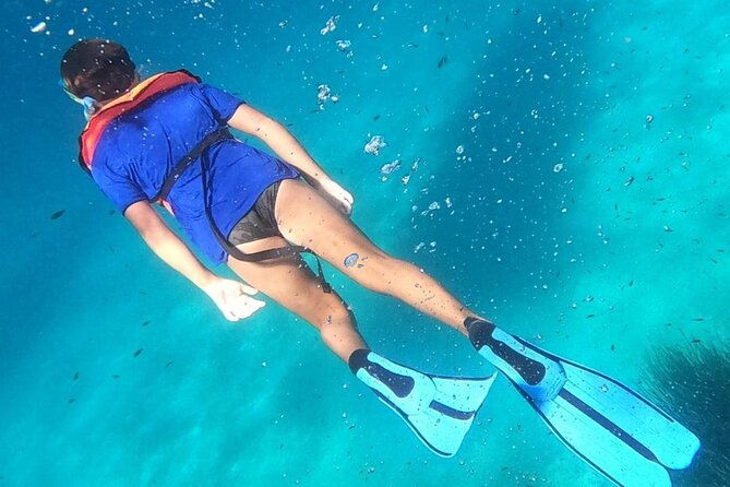 dolphin-watching-and-snorkeling-in-figarolo-in-sardinia